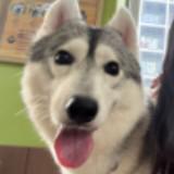 (Category: ) located in . Submitted by merrygolucku (Listing ID 1386321348, Image 1). Description: .