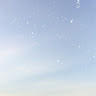 (分類:)位於 。 由 helloselleriam987 提交(商品編號 1452133345,圖片 1)。簡介: 。