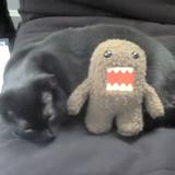(Category: ) located in . Submitted by b4nz76 (Listing ID 1456344508, Image 1). Description: .