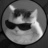 (Category: ) located in . Submitted by akemss (Listing ID 1454990400, Image 1). Description: .