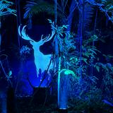 (Category: ) located in . Submitted by epicstorm-ad9b (Listing ID 1407947350, Image 1). Description: .