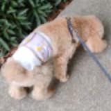 (Category: ) located in . Submitted by emielywong65361 (Listing ID 1403113432, Image 1). Description: .