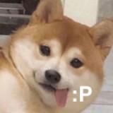 頭像