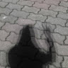 (Category: ) located in . Submitted by mightyriver-8795a2 (Listing ID 1460059366, Image 1). Description: .