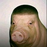 (Category: ) located in . Submitted by nutonme (Listing ID 1454021395, Image 1). Description: .