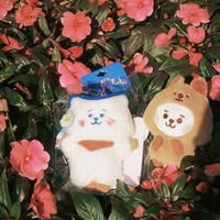 (分類:)位於 。 由 hijin1031 提交(商品編號 1420509822,圖片 1)。簡介: 。