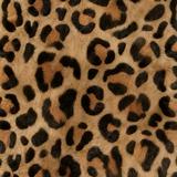(Category: ) located in . Submitted by shopkeju (Listing ID 1464530631, Image 1). Description: .