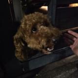 (Category: ) located in . Submitted by projrehome (Listing ID 1434019931, Image 1). Description: .