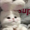 (分類:)位於 。 由 leehiu122078508 提交(商品編號 1446078377,圖片 1)。簡介: 。