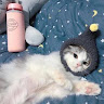 (分類:)位於 。 由 menokk 提交(商品編號 1470248418,圖片 1)。簡介: 。