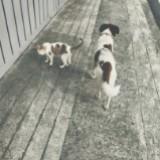 (Category: ) located in . Submitted by zacharyiwnl (Listing ID 1414512072, Image 1). Description: .