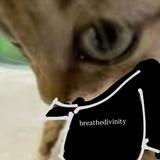 (Category: ) located in . Submitted by yaboidreck (Listing ID 1466822575, Image 1). Description: .