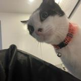 (Category: ) located in . Submitted by probablynotyou (Listing ID 1417900605, Image 1). Description: .