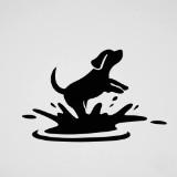 由 mudpuppyy (刊登 ID 1413808963,圖片 1) 提交,位於 的 (類別:),說明:。