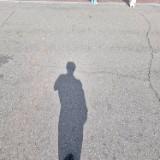 (Category: ) located in . Submitted by themvi (Listing ID 1445259160, Image 1). Description: .