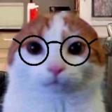 (Category: ) located in . Submitted by maideclutter (Listing ID 1427861560, Image 1). Description: .