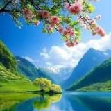 (Category: ) located in . Submitted by maytanbh (Listing ID 1443317933, Image 1). Description: .