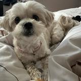(Category: ) located in . Submitted by cutebubbles (Listing ID 1436302356, Image 1). Description: .