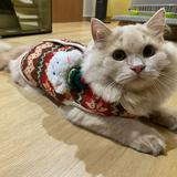(Category: ) located in . Submitted by lwong.owl (Listing ID 1459006731, Image 1). Description: .