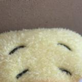 (分類:)位於 。 由 minmin4ever 提交(商品編號 1413738874,圖片 1)。簡介: 。