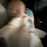 (Category: ) located in . Submitted by msf10 (Listing ID 1452477695, Image 1). Description: .