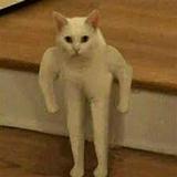 (Category: ) located in . Submitted by ter121 (Listing ID 1455625857, Image 1). Description: .