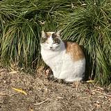 (分類:)位於 。 由 1222345221 提交(商品編號 1467421255,圖片 1)。簡介: 。