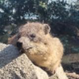 (分類:)位於 。 由 chillchill00 提交(商品編號 1471193821,圖片 1)。簡介: 。