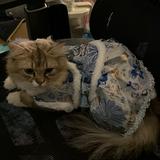 (分類:)位於 。 由 joey1228s 提交(商品編號 1453803581,圖片 1)。簡介: 。