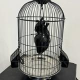 (Category: ) located in . Submitted by aronno.me (Listing ID 1446411794, Image 1). Description: .