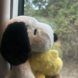 (Category: ) located in . Submitted by snoopyvrs (Listing ID 1441230547, Image 1). Description: .