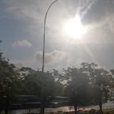 (Category: ) located in . Submitted by fira0000 (Listing ID 1449400729, Image 1). Description: .