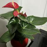 (Category: ) located in . Submitted by ssryan (Listing ID 1422605102, Image 1). Description: .
