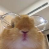 (Category: ) located in . Submitted by nningg (Listing ID 1453867245, Image 1). Description: .