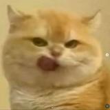 (Category: ) located in . Submitted by sharifaidid7 (Listing ID 1442073632, Image 1). Description: .