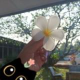 (Category: ) located in . Submitted by malinggggg (Listing ID 1461514578, Image 1). Description: .