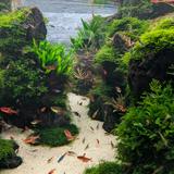 (Category: ) located in . Submitted by finnie.w (Listing ID 1452254766, Image 1). Description: .