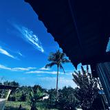 (Category: ) located in . Submitted by danial_oyenn (Listing ID 1422708389, Image 1). Description: .
