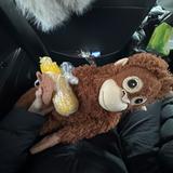 (Category: ) located in . Submitted by em_ma200 (Listing ID 1442078658, Image 1). Description: .