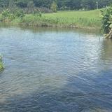 (Category: ) located in . Submitted by deepti__ (Listing ID 1422713828, Image 1). Description: .
