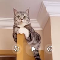 (Category: ) located in . Submitted by truecloud_dc03fe (Listing ID 1464201681, Image 1). Description: .