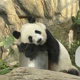 (分類:)位於 。 由 butternuts018 提交(商品編號 1424069586,圖片 1)。簡介: 。