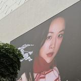 (分類:)位於 。 由 night-cat 提交(商品編號 1429265654,圖片 1)。簡介: 。