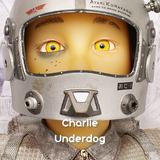 (分類:)位於 。 由 cyccharlie 提交(商品編號 1470651924,圖片 1)。簡介: 。