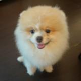 (Category: ) located in . Submitted by atch91 (Listing ID 1429193576, Image 1). Description: .