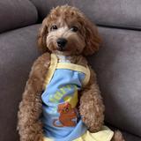 (Category: ) located in . Submitted by _krung_ (Listing ID 1441928018, Image 1). Description: .