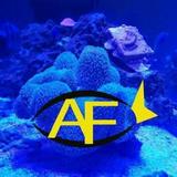 (Category: ) located in . Submitted by aquaticsfan (Listing ID 1438710021, Image 1). Description: .