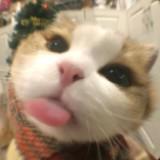 (Category: ) located in . Submitted by alees_life (Listing ID 1425361126, Image 1). Description: .