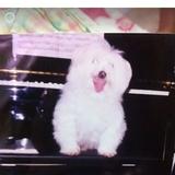 (Category: ) located in . Submitted by pinkdews (Listing ID 1442303075, Image 1). Description: .