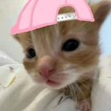 (Category: ) located in . Submitted by m_.ai (Listing ID 1432291947, Image 1). Description: .